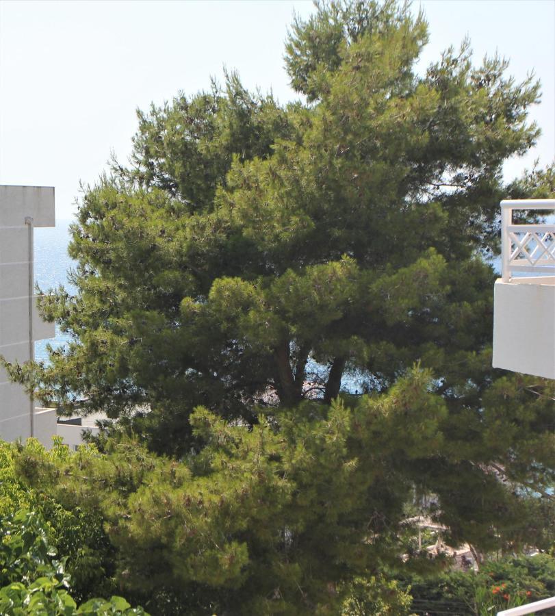 Saranda Hotel Eksteriør billede