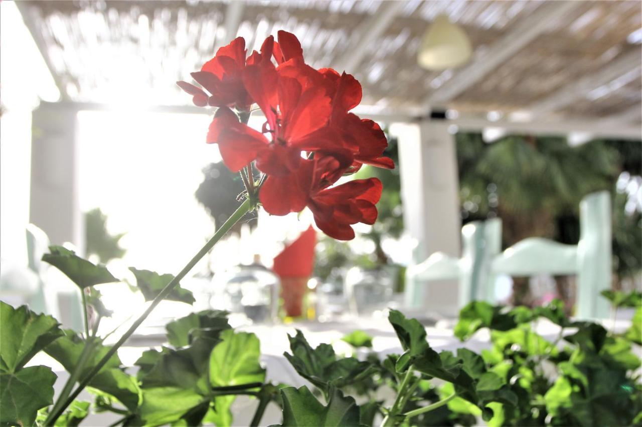 Saranda Hotel Eksteriør billede